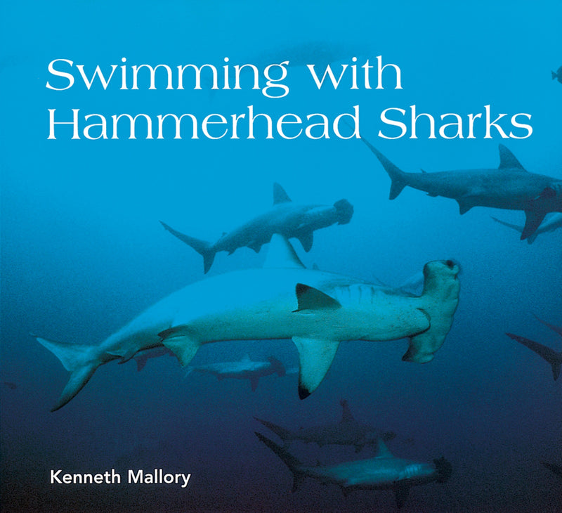 Swimming with Hammerhead Sharks
