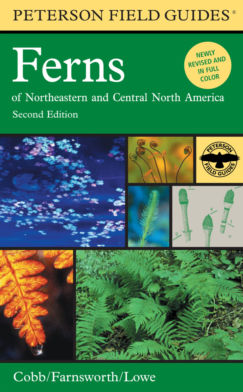 Peterson Field Guide To Ferns, Second Edition: Northeastern and Central North America