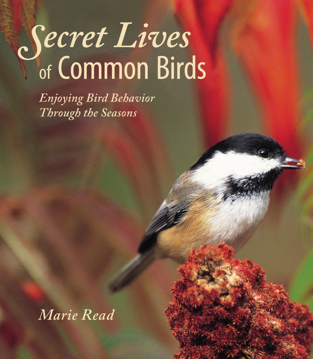 Secret Lives Of Common Birds