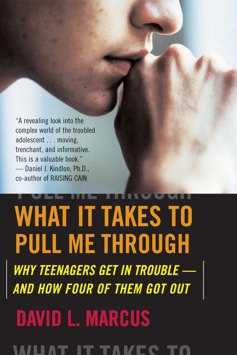 What It Takes To Pull Me Through: Why Teenagers Get in Trouble and How Four of Them Got Out