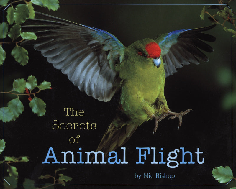 The Secrets of Animal Flight