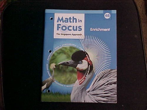 Math in Focus: Singapore Math Enrichment Workbook Grade 4 Book B