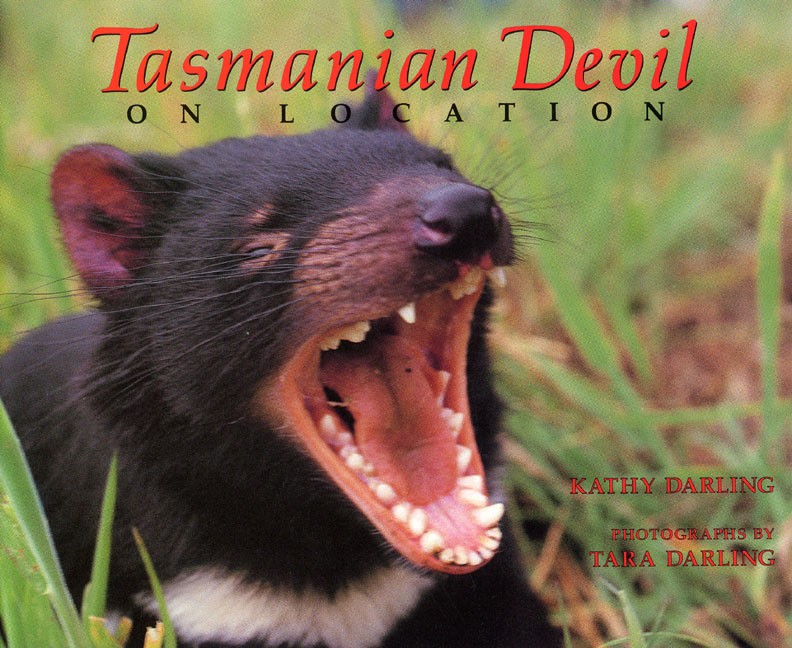 Tasmanian Devil: On Location