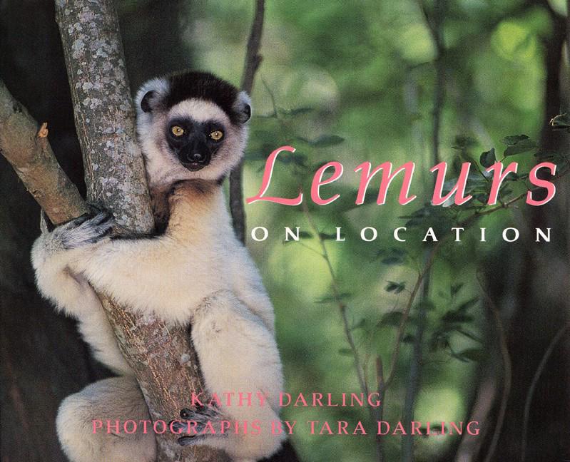 Lemurs On Location