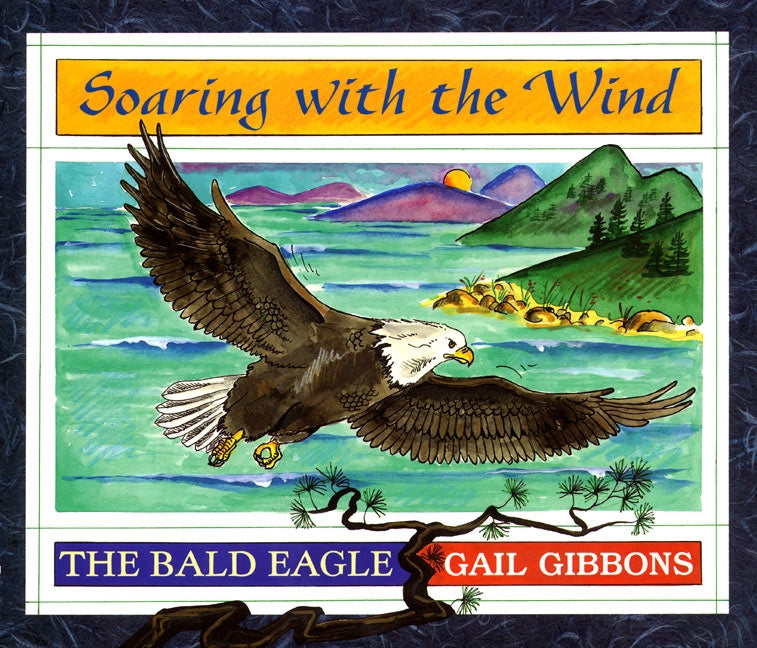 Soaring with the Wind