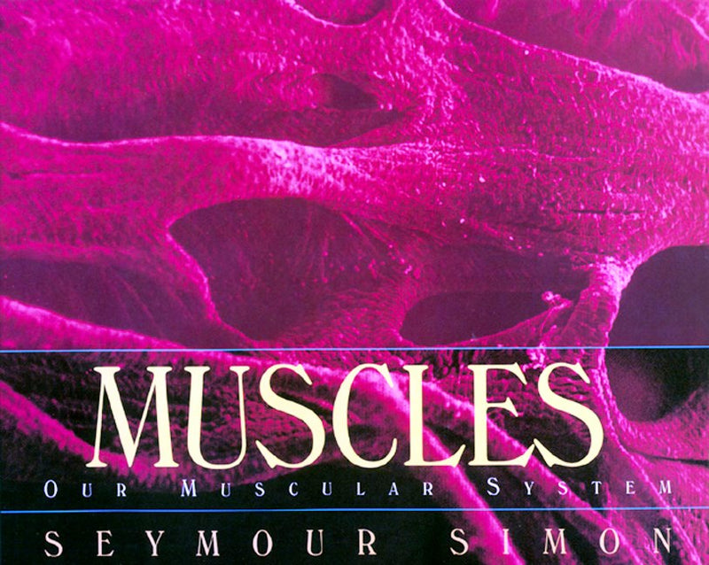 Muscles: Our Muscular System