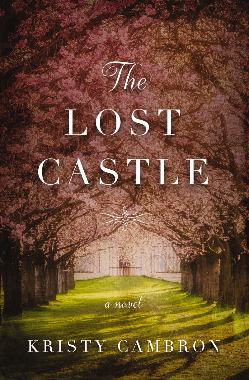 The Lost Castle: A Split-Time Romance