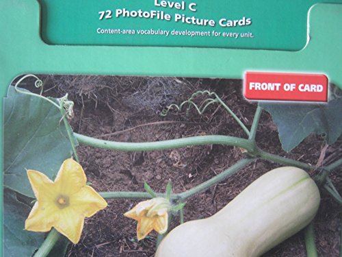 Avenues C: Photofile Picture Cards