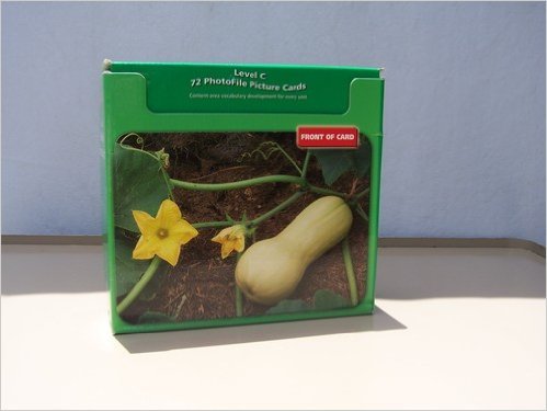 Avenues C: Large Format Photo File Picture Cards