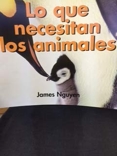 Lo Que Necesitan Los Animales