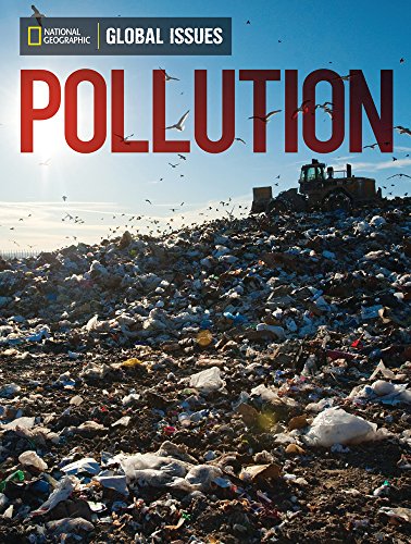 Global Issues: Pollution (below-level)