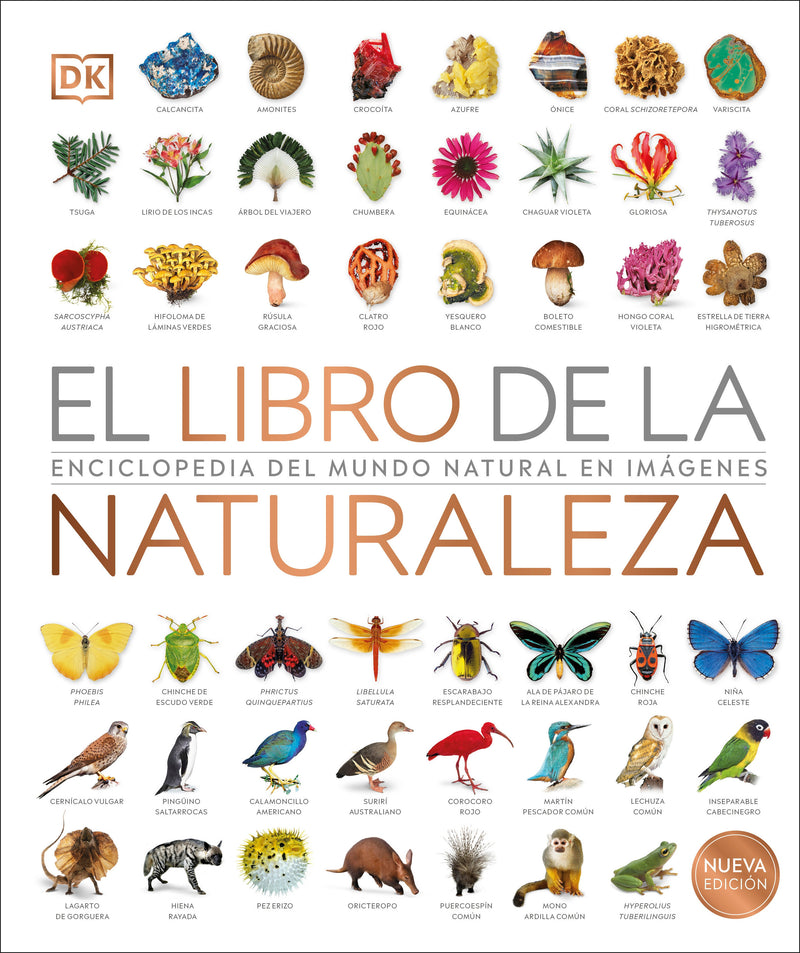 DK Definitive Visual Encyclopedias