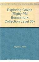 Rigby PM Collection Individual Student Edition Sapphire (Levels 29-30) Dark Zones