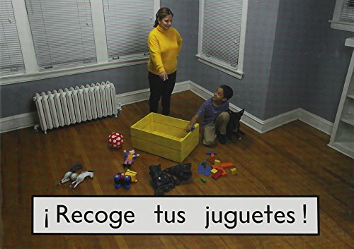 Rigby PM Coleccion Individual Student Edition magenta basicos (magenta) Â¡Recogetus juguetes! (Pick Up Your Toys)