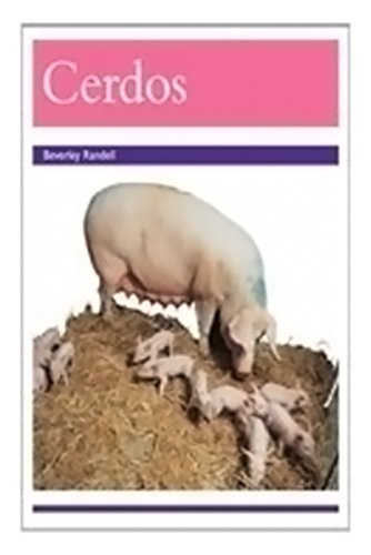Rigby PM Coleccion Individual Student Edition morado (purple) Cerdos (Pigs)