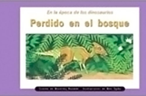 Rigby PM Coleccion Leveled Reader 6pk anaranjado (orange) Perdido en el bosque (Lost in the Forest)