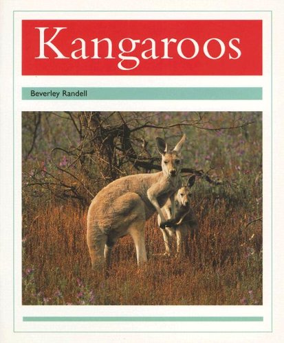 Rigby PM Collection Individual Student Edition Turquoise (Levels 17-18) Kangaroos