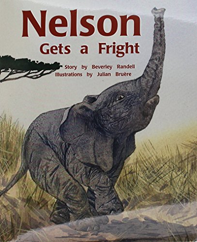 Rigby PM Collection Individual Student Edition Purple (Levels 19-20) Nelson Getsa Fright