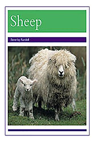 Rigby PM Collection Individual Student Edition Purple (Levels 19-20) Animals - Sheep