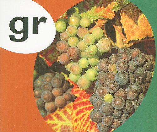 Rigby PM Alphabet Blend & Diagrams Leveled Reader Gr