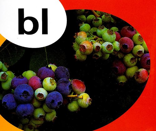 Rigby PM Alphabet Blend & Diagrams Leveled Reader Bl