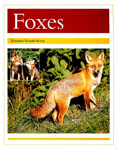 Rigby PM Collection Individual Student Edition Gold (Levels 21-22) Foxes