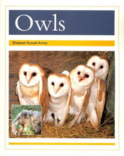 Rigby PM Collection Individual Student Edition Gold (Levels 21-22) Owls