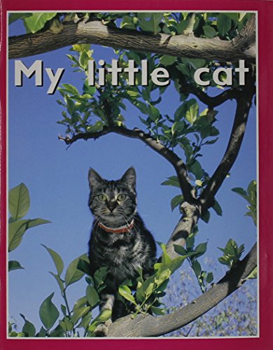 Rigby PM Plus Starters Individual Student Edition Magenta (Level 2) My Little Cat
