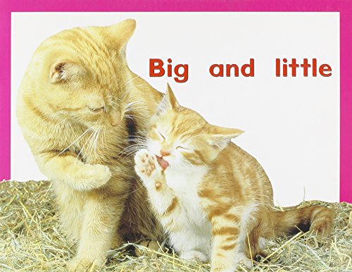 Rigby PM Plus Starters Individual Student Edition Magenta (Level 2) Big and Little