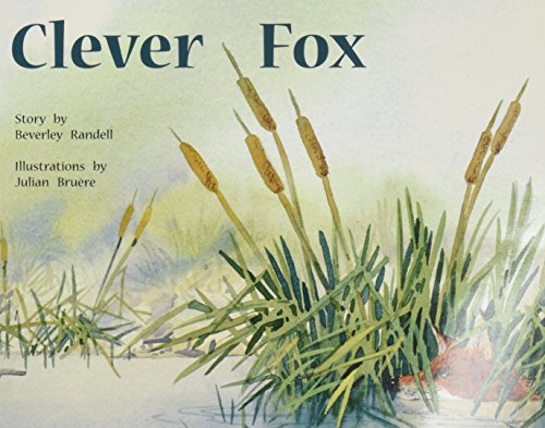 Rigby PM Plus Individual Student Edition Yellow (Levels 6-8) Clever Fox