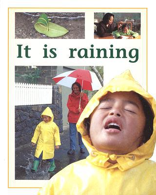 Rigby PM Plus Individual Student Edition Yellow (Levels 6-8) It Is Raining