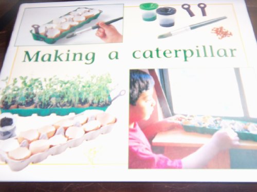 Rigby PM Plus Individual Student Edition Yellow (Levels 6-8) Making a Caterpiller