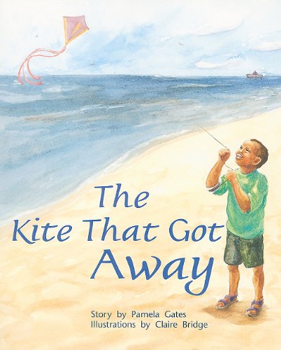 Rigby PM Plus Individual Student Edition Orange (Levels 15-16) The Kite That GotAway