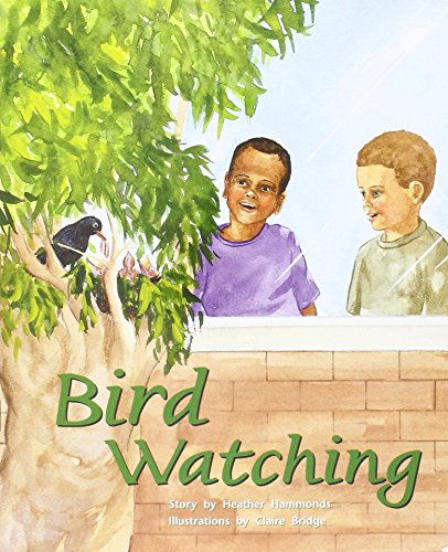 Rigby PM Plus Individual Student Edition Purple (19-20) Bird Watching