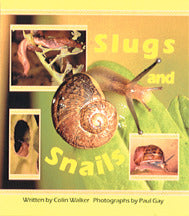Wonder World Slugs & Snails