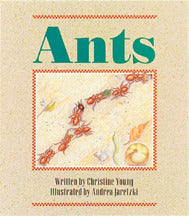 Wonder World Ants