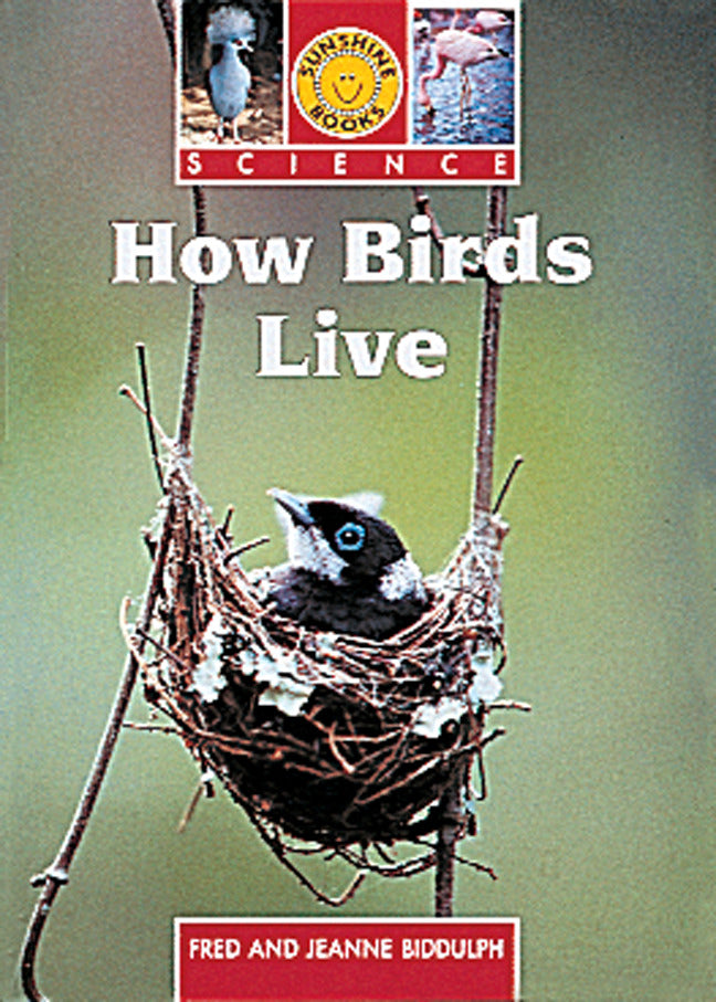Sunshine How Birds Live 6 Pack
