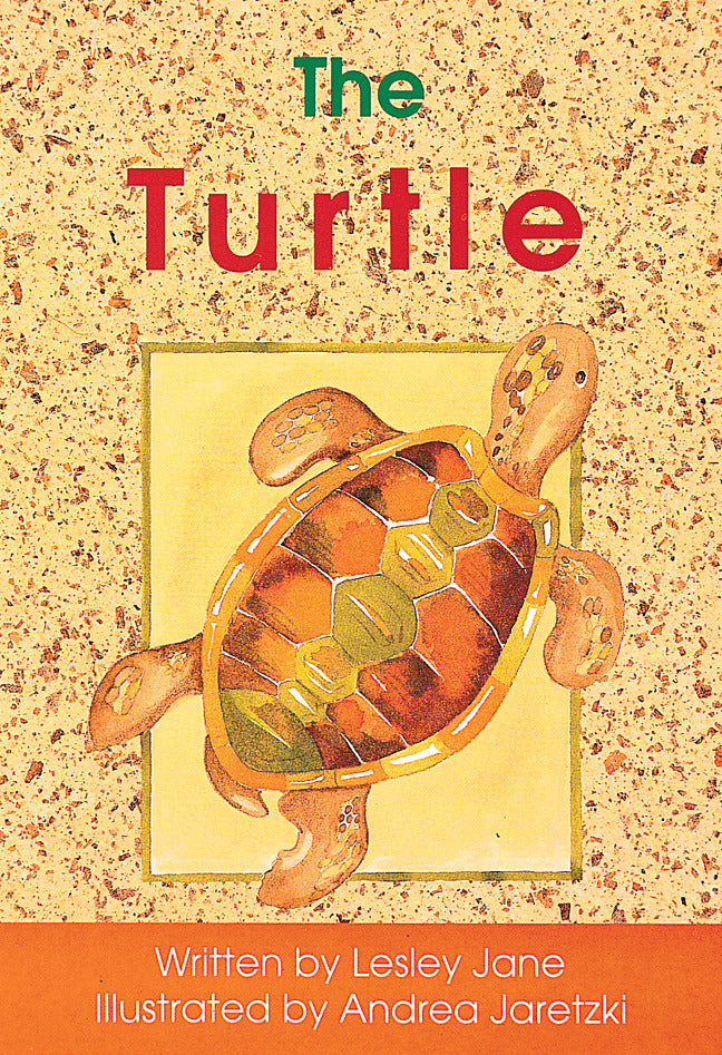 Foundations The Turtle