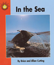 Sunshine In The Sea 6 Pack