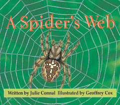 Wonder World A Spiders Web
