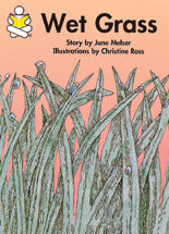 Story Box Wet Grass 2e