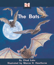 Twig Level A Bats 6 Pack