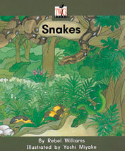 Twig Level B Snakes 6 Pack 2e