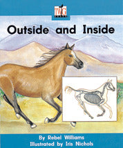 Twig Level E Outside & Inside 6 Pack 2e
