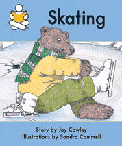 Story Box Level E Skating