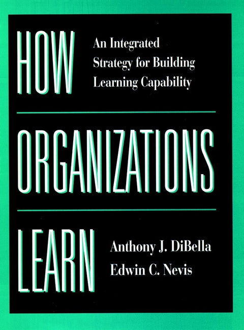 How Organizations Learn