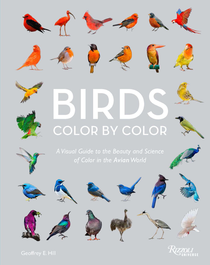 Birds Color by Color:A Visual Guide to the Beauty and Science of Color in the Avian World