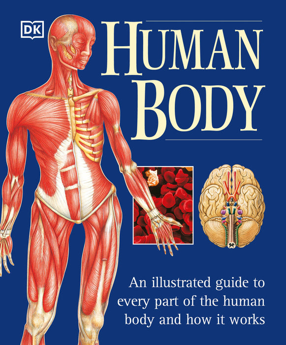 The Human Body