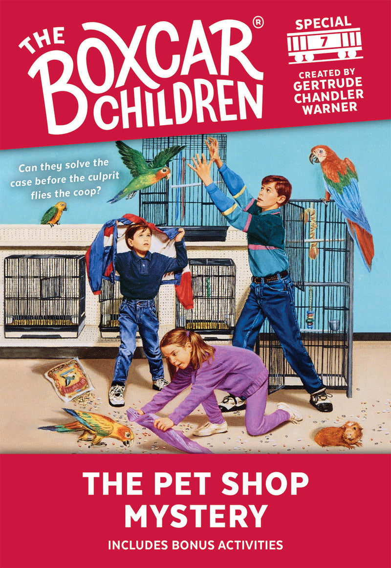 The Boxcar Children Mystery & Activities Specials