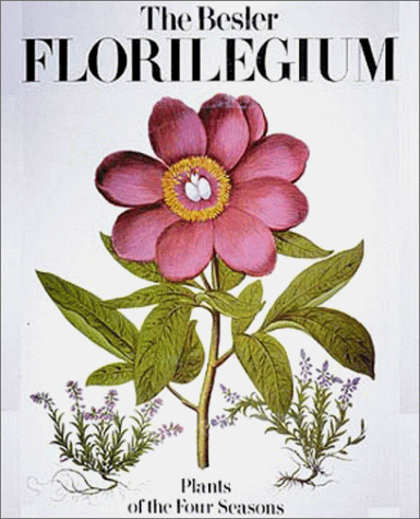 Besler Florilegium